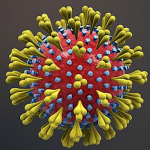 Le virus Covid-19 (coronavirus)